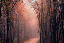 [台球]斯诺克球员锦标赛 特鲁姆普晋级八强.