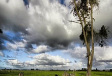 图赫尔小试牛刀,引来皇马趁机出手,切尔西面临复杂局面远超利物浦曼联.