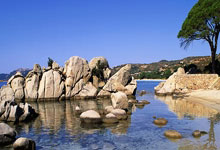 曼塞尔夺得新加坡精英赛冠军!李昊桐T9,丁文一T14!.